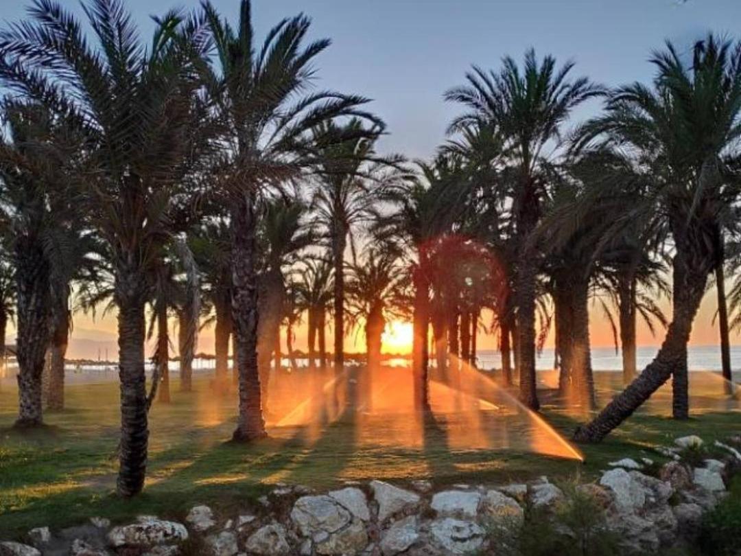 Estudio En Playamar Lejlighed Torremolinos Eksteriør billede